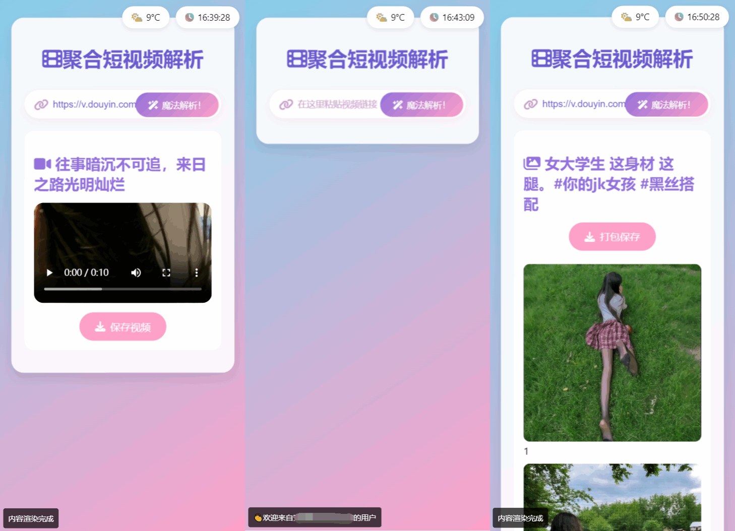 二次元短视频去水印源码-二开聚合短视频解析去水印系统源码图2