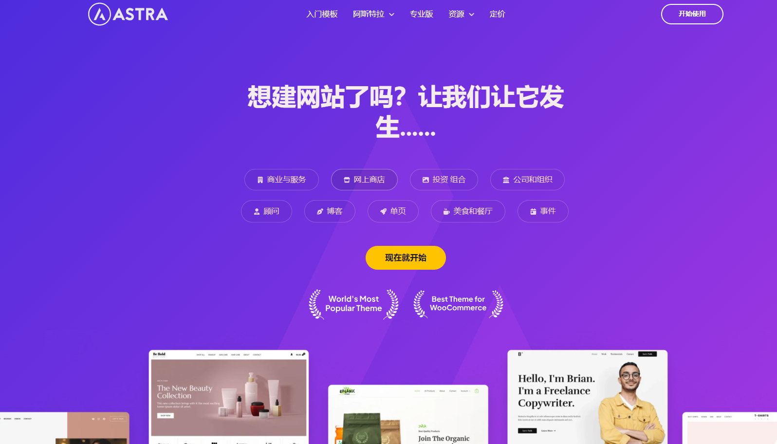 WordPress Astra独立站主题源码图2
