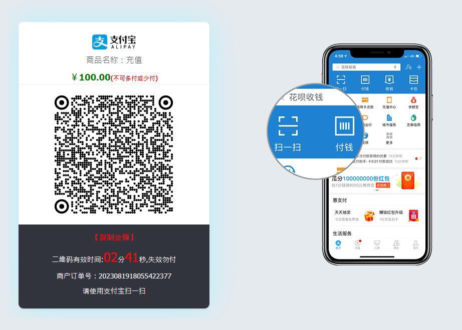 友价官网定制版易支付通用插件-友价T5商城易支付通用接口插件图1