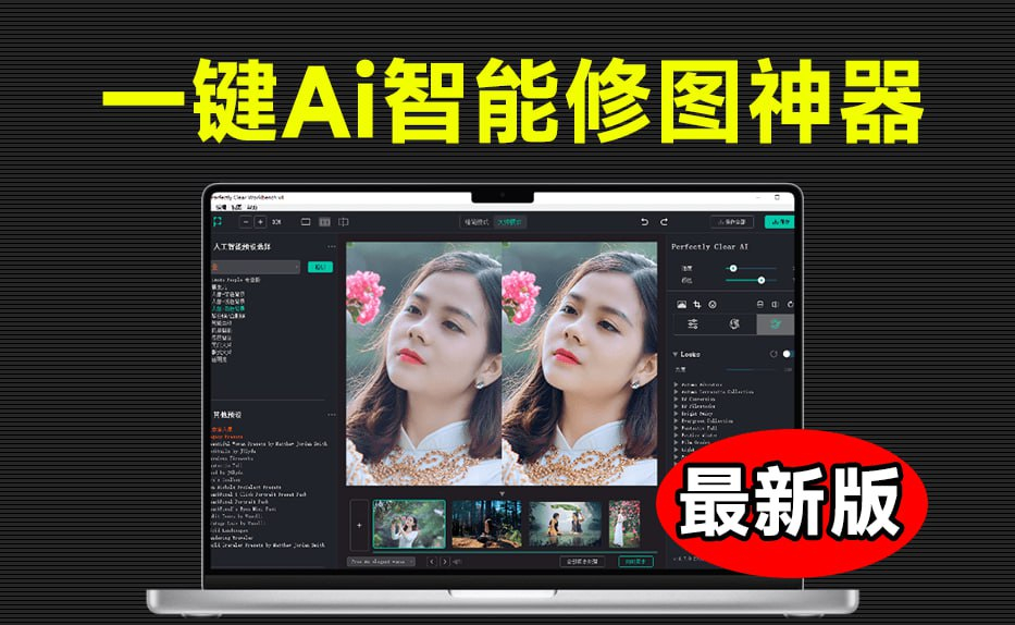 一键AI智能修图软件-Perfectly Clear WorkBench激活版图