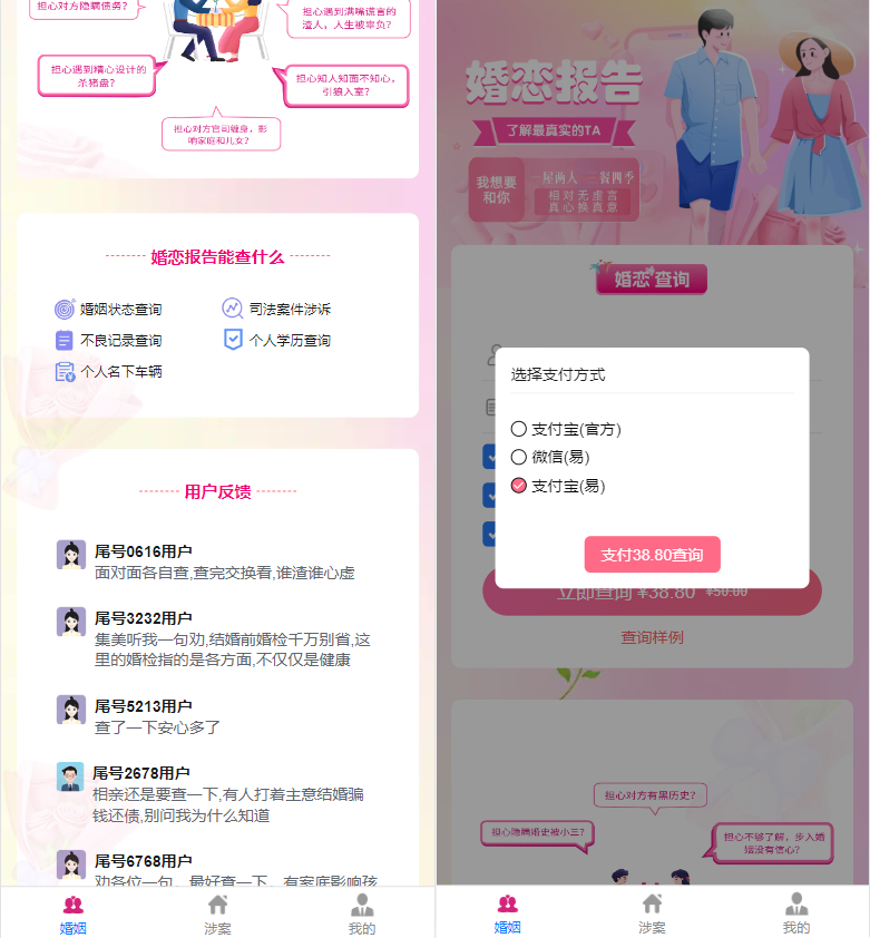 个人企业涉诉案底查询系统-婚姻婚恋查询系统源码图2