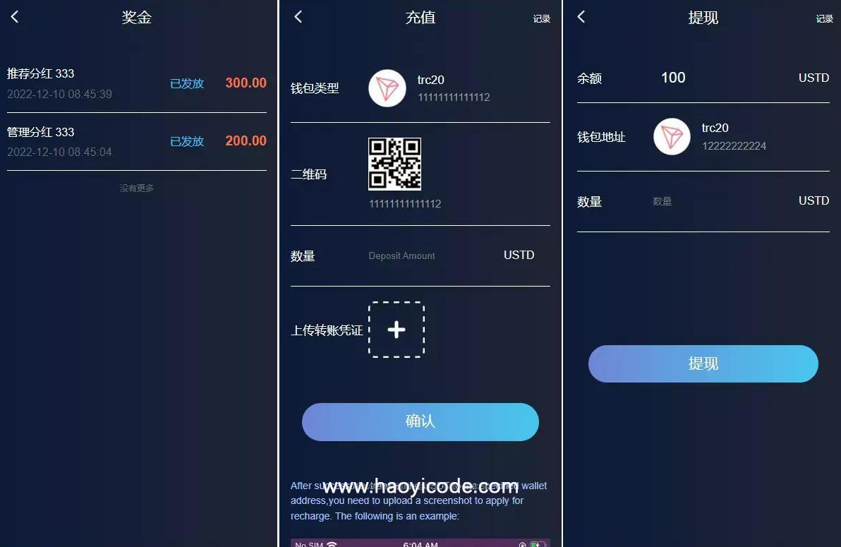 多语言假盘系统源码图1