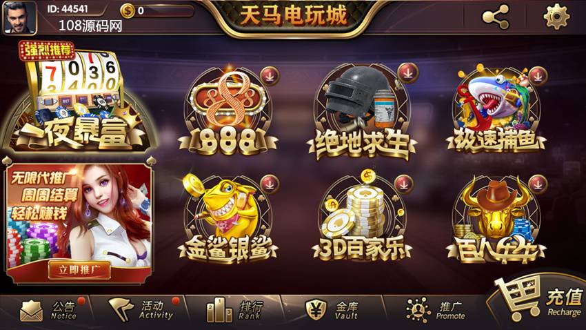 网狐内核一夜暴富天马电玩棋牌娱乐全套源码图2