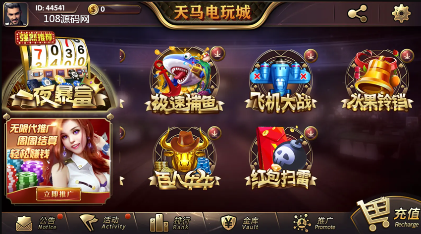 网狐内核一夜暴富天马电玩棋牌娱乐全套源码图3