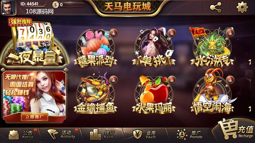 网狐内核一夜暴富天马电玩棋牌娱乐全套源码图4